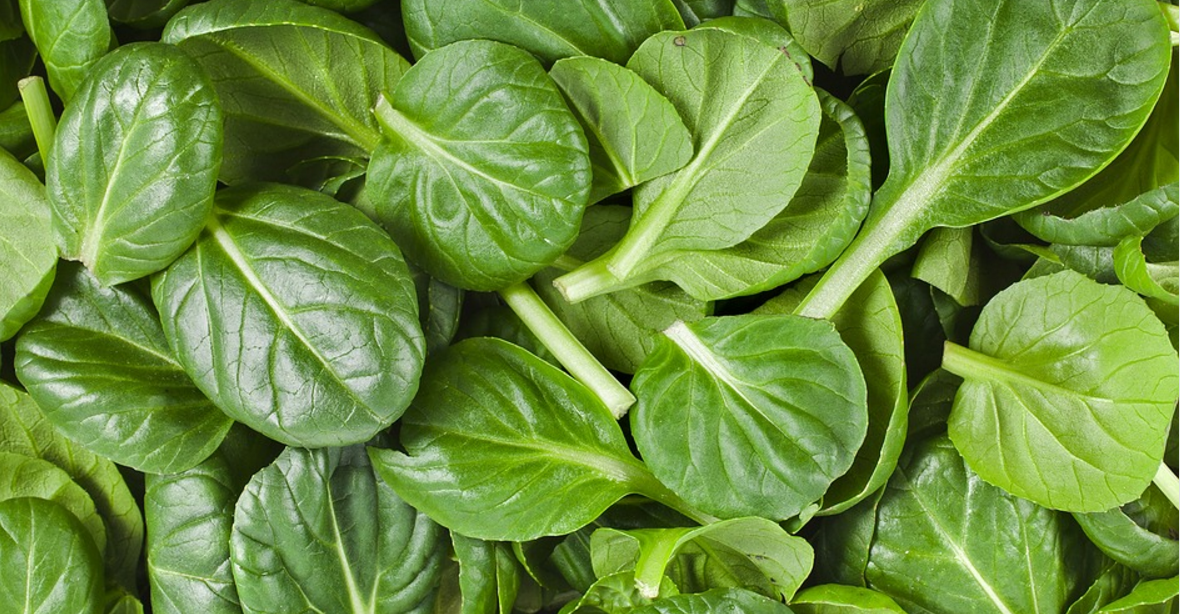Spinach Turns Into Cardiac Machine