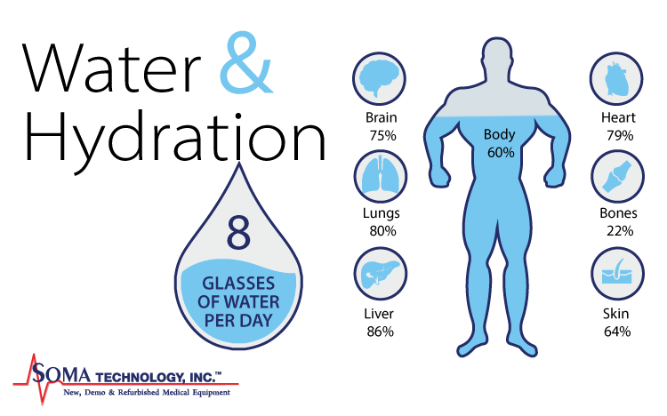 The Importance of Staying Hydrated