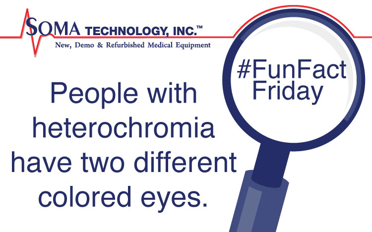 Heterochromia Fun Fact