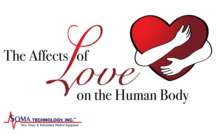 The Affects of Love on the Human Body