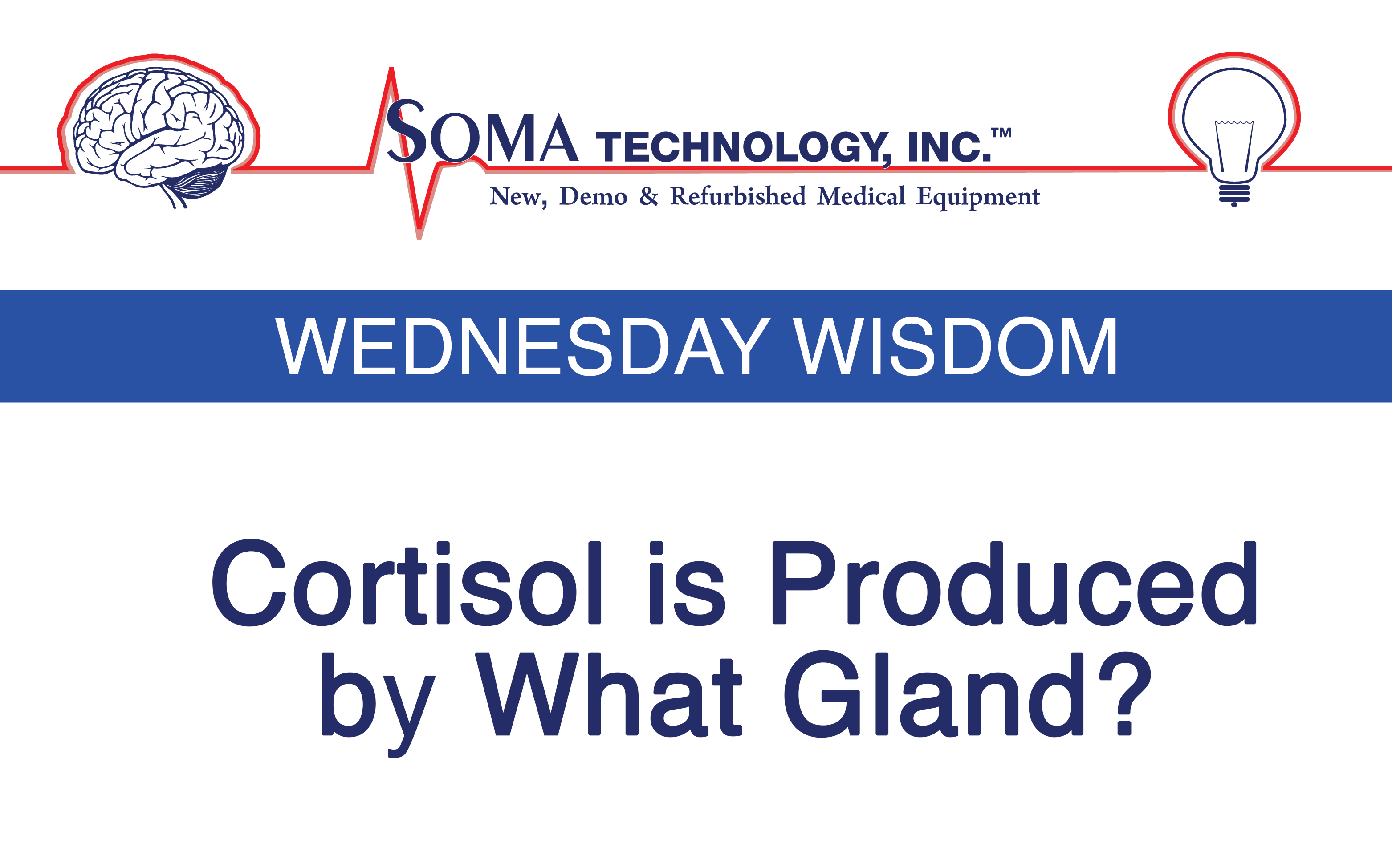 Cortisol Is Produced In This Gland