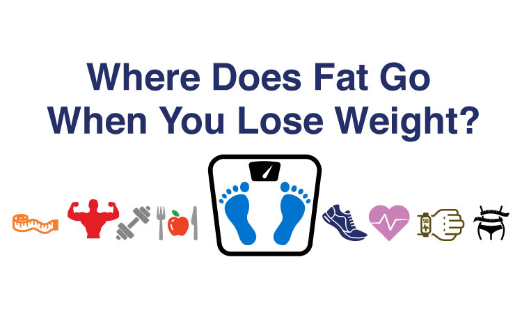 Where does fat go when you lose weight? - Soma Technology, Inc.