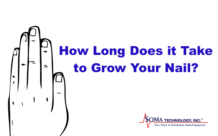 How Long Does it Take to Grow Your Nail