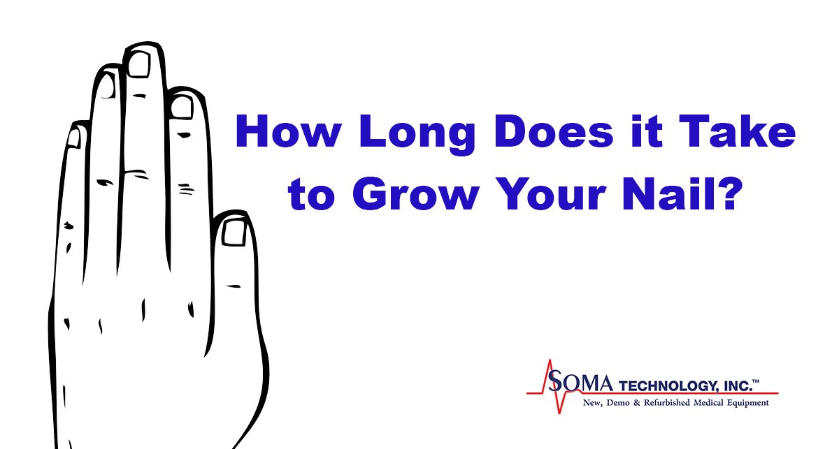 How Long Does it Take to Grow Your Nail