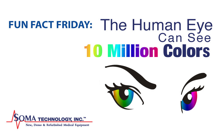 Human Eye Sees 10 Million Colors