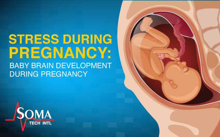 Stress During Pregnancy: Baby Brain Development During Pregnancy
