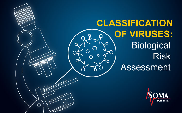 Classifications of Viruses: Biological Risk Assessment
