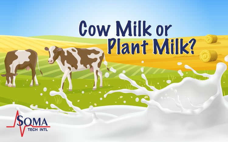 Cow Milk or Plant Milk?