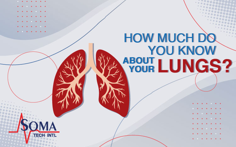 How Much Do You Know About Your Lungs?