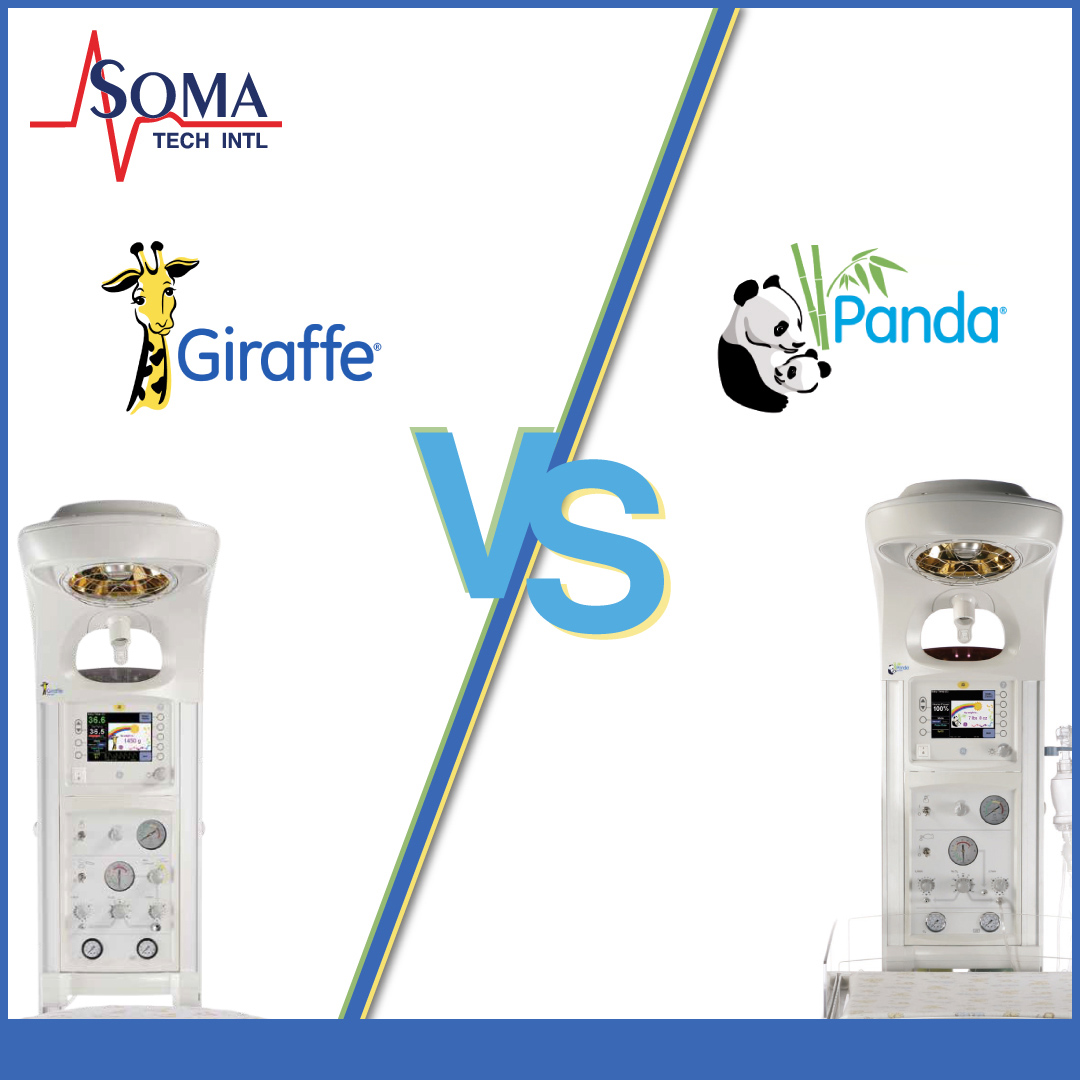 GE Panda vs GE Giraffe - Comparación de Cunas Térmicas