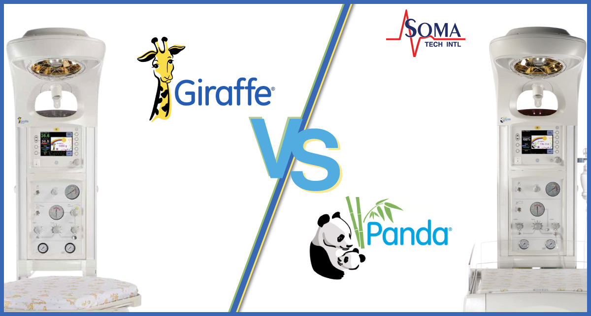 GE Panda vs GE Giraffe - Comparación de Cunas Térmicas