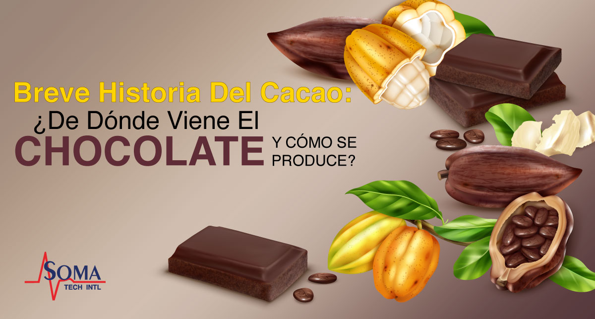 Breve Historia Del Cacao: ¿De Dónde Viene El Chocolate y Cómo Se Produce?