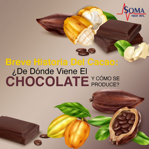 Breve Historia Del Cacao: ¿De Dónde Viene El Chocolate y Cómo Se Produce?