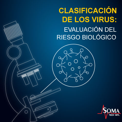 Clasificación De Los Virus: Evaluación Del Riesgo Biológico