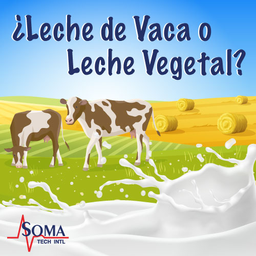 ¿Leche de Vaca o Leche Vegetal?