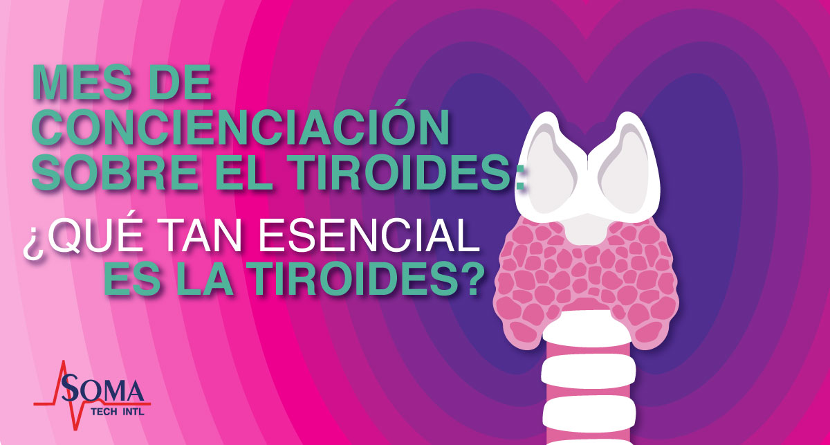 Mes De Conciencia Sobre El Tiroides: ¿Qué Tan Esencial Es La Tiroides?