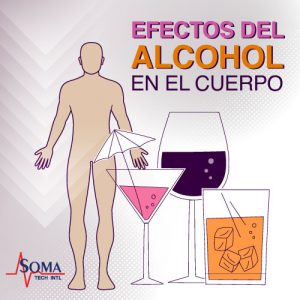 Efectos del Alcohol en el Cuerpo