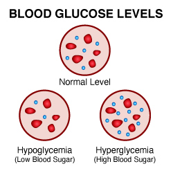 Blood Glucose Levels