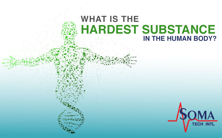 What is the hardest substance in the human body?