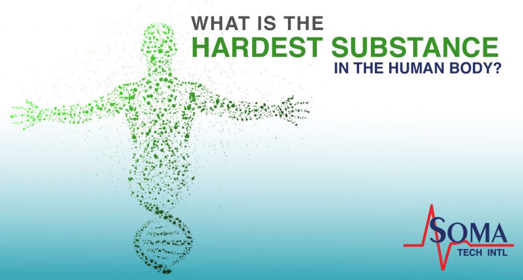 What is the hardest substance in the human body?