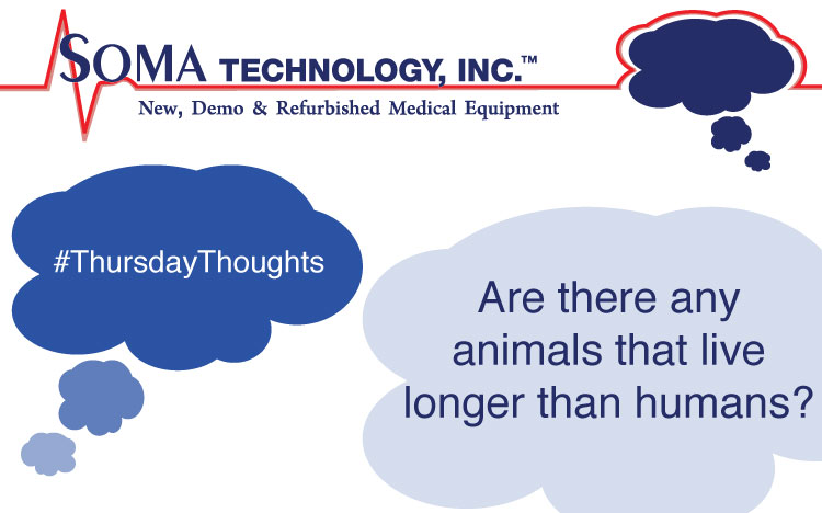 Are There Animals That Live Longer Than Humans? Are There Animals That Live Longer Than Humans?