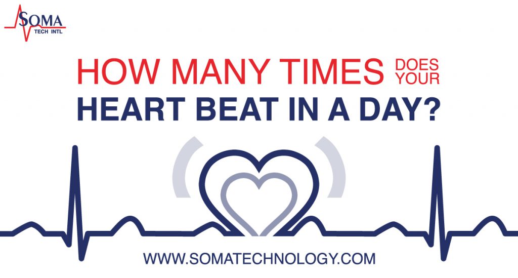 How Many Times Does Your Heart Beat in a Day?