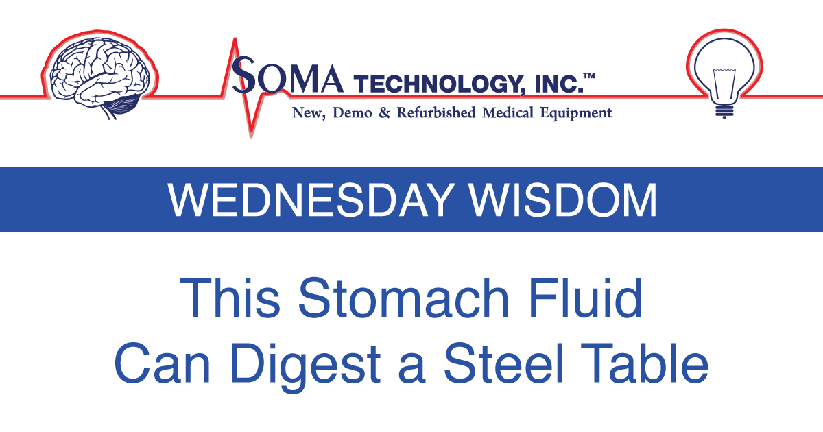 This Stomach Fluid Can Digest a Steel Table - Amazing ...