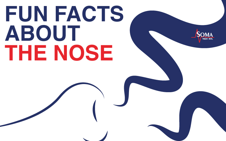 Fun Facts About The Nose - Soma Tech Intl