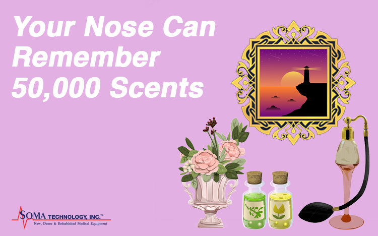 Your Nose Can Remember 50,000 Scents