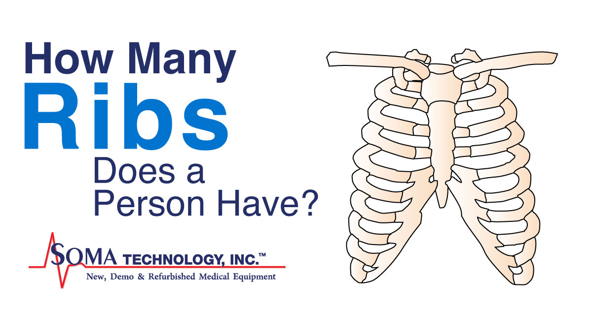 Wednesday Wisdom: How Many Ribs Are in the Body?