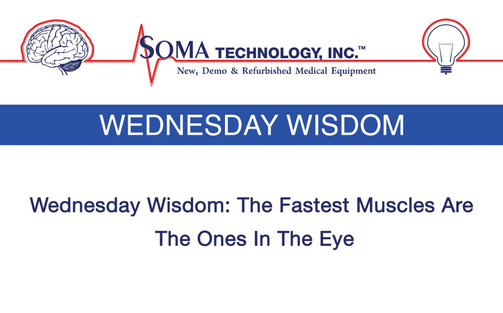 Wednesday Wisdom Blinking