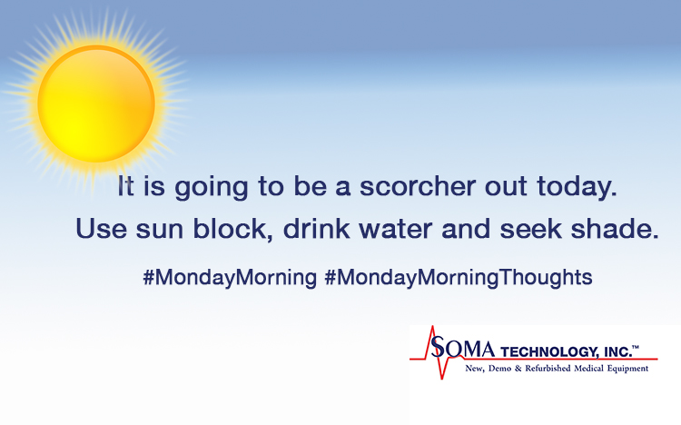 Monday Morning Sun