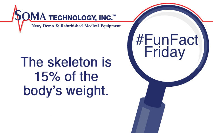 FF Skeleton