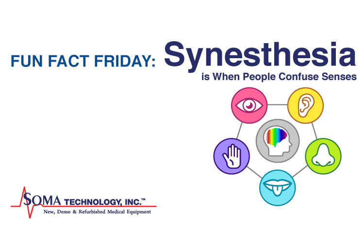 Synesthesia