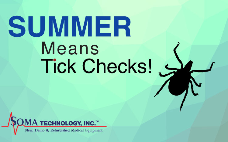 summer ticks