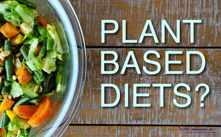 Plant Based Diet