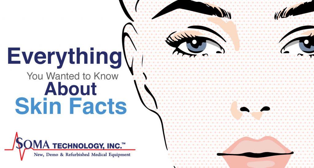 skin facts
