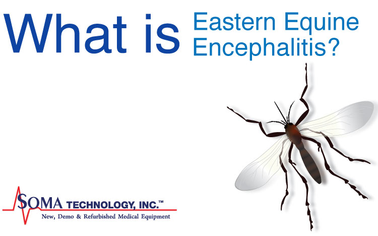 Eastern Equine Encephalitis