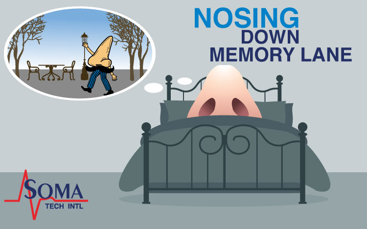 Nosing Down Memory Lane