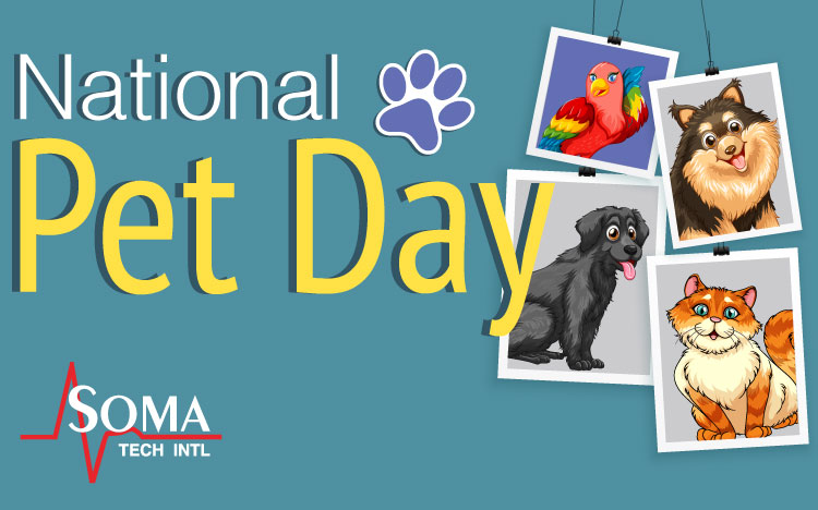 National Pet Day