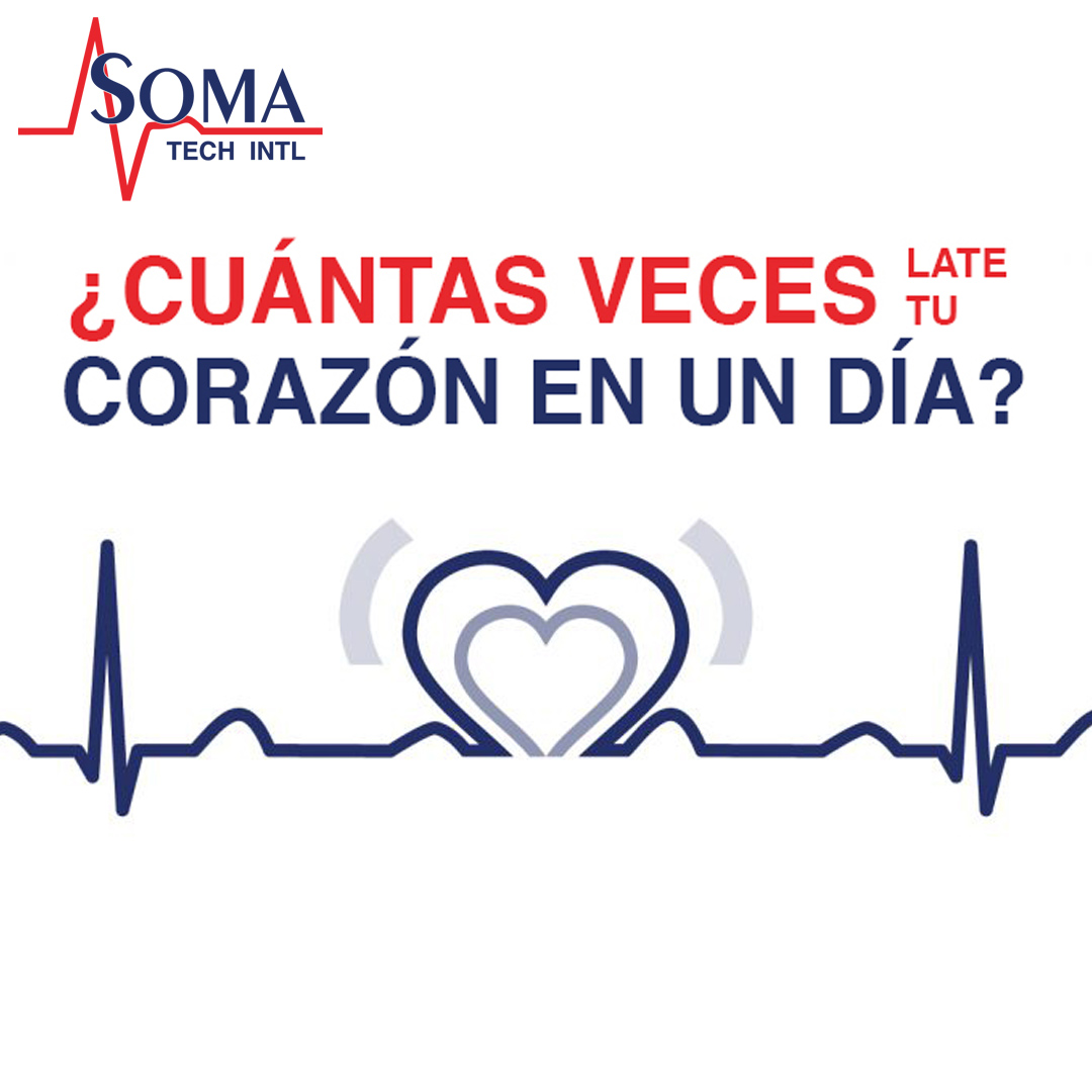 ¿Cuántas Veces Late tu Corazón en un Día? ¿Cuántas Veces Late tu Corazón en un Día?
