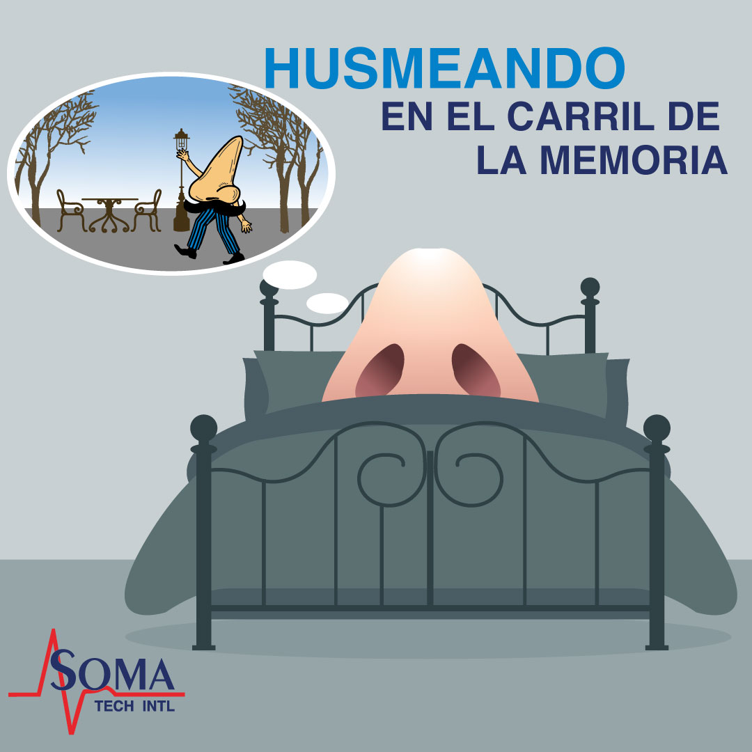 Husmeando En El Carril De La Memoria Husmeando En El Carril De La Memoria