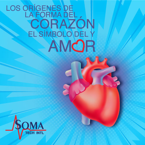 Los Orígenes De La Forma Del Corazón Y El Símbolo Del Amor Los Origenes De La Forma Del Corazon Y El Simbolo Del Amor
