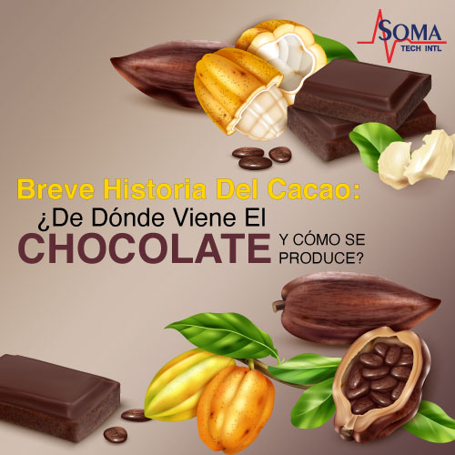 Breve Historia Del Cacao: ¿De Dónde Viene El Chocolate y Cómo Se Produce? Breve Historia Del Cacao: ¿De Dónde Viene El Chocolate y Cómo Se Produce?