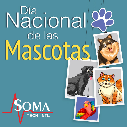 Día Nacional de las Mascotas con Soma Tech Intl Día Nacional de las Mascotas Con SOMA Tech Intl