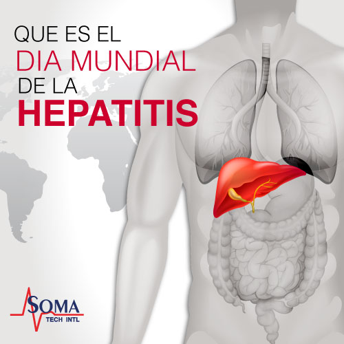 ¿Qué Es El Día Mundial De La Hepatitis? ¿Qué Es El Día Mundial De La Hepatitis?
