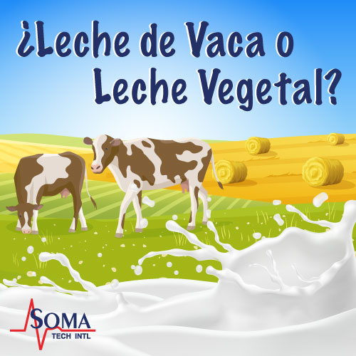 ¿Leche de Vaca o Leche Vegetal? ¿Leche de Vaca o Leche Vegetal?