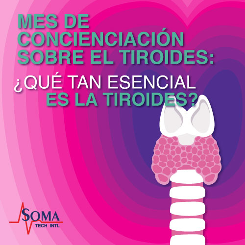 Mes De Concienciación Sobre El Tiroides: ¿Qué Tan Esencial Es La Tiroides? Mes De Concienciación Sobre El Tiroides: ¿Qué Tan Esencial Es La Tiroides?