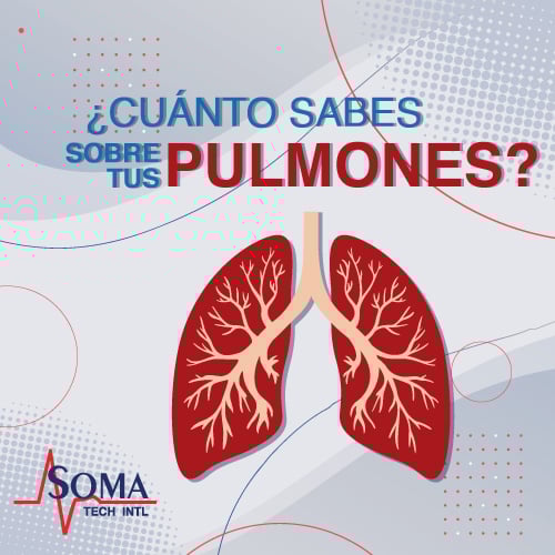 ¿Cuánto Sabes Sobre Tus Pulmones? How-Much-Do-You-Know-About-Your-Lungs-blog-spanish