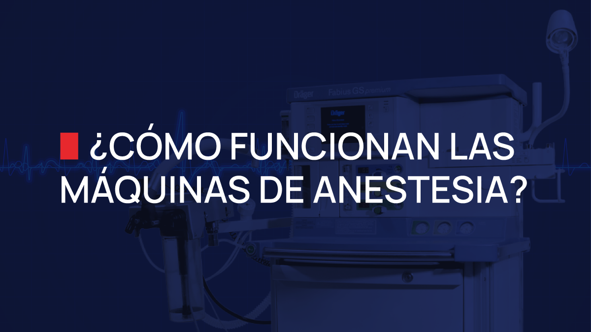 Anestesia